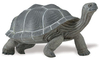 S260729 Unglaubliche Kreaturen - Galapagos Schildkröte