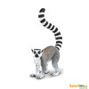 S292229 Wildlife - Lemur