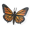 Le Papillon Monarque