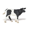 S232729 Ternero Holstein