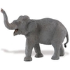 S227529 Wildlife - Asiatischer Elefant
