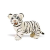 S295029 White Bengal Tiger Cub