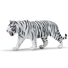 S112089 Tigre blanco