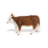S160029 Vaca Hereford