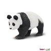 S228729 Panda - Wildlife
