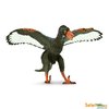 S302829 - Archaeopteryx