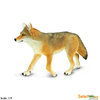S113089 Wild Wildlife - Kojote