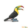 S264129 Toucan (without berry)