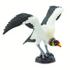 S100270 - Zopilote real - Aves del mundo