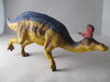 BUL61490 - Lambeosaurus
