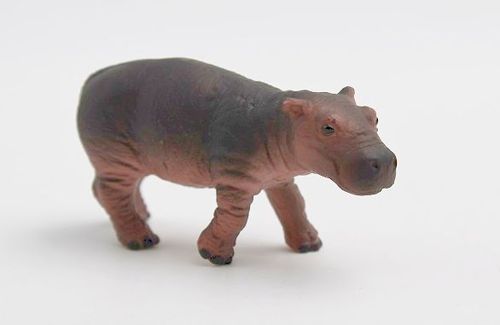 BUL63692 - Hippo Calf
