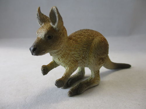 BUL63566 - Kangaroo baby