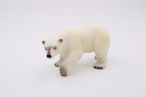 BUL63537 - Polar Bear