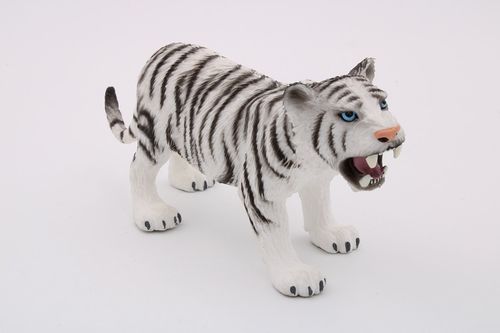 BUL63687 - white Tiger