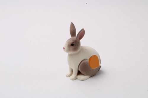 RAV669761 - Rabbit - Tiptoi