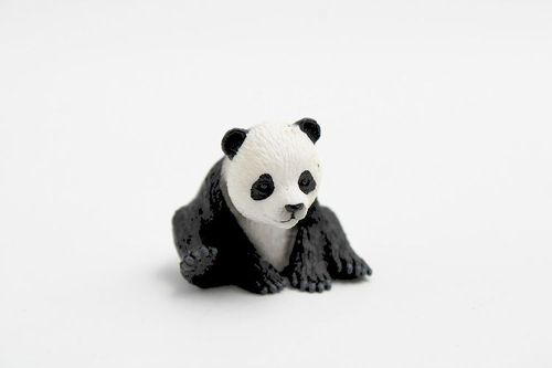 BUL63679 - Bébé Panda
