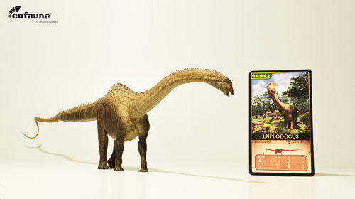 EO007 - Diplodocus 1:40 - dinosaures faufilés