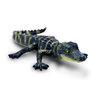 S101073 - Alligator Baby (Neuheit 2022)