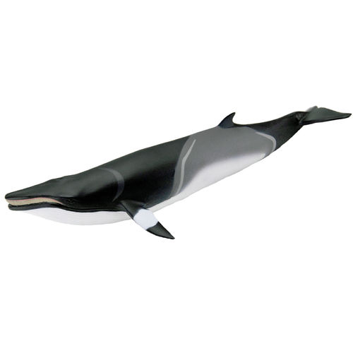 S100413 - Minke Whale - Noveltie 2022